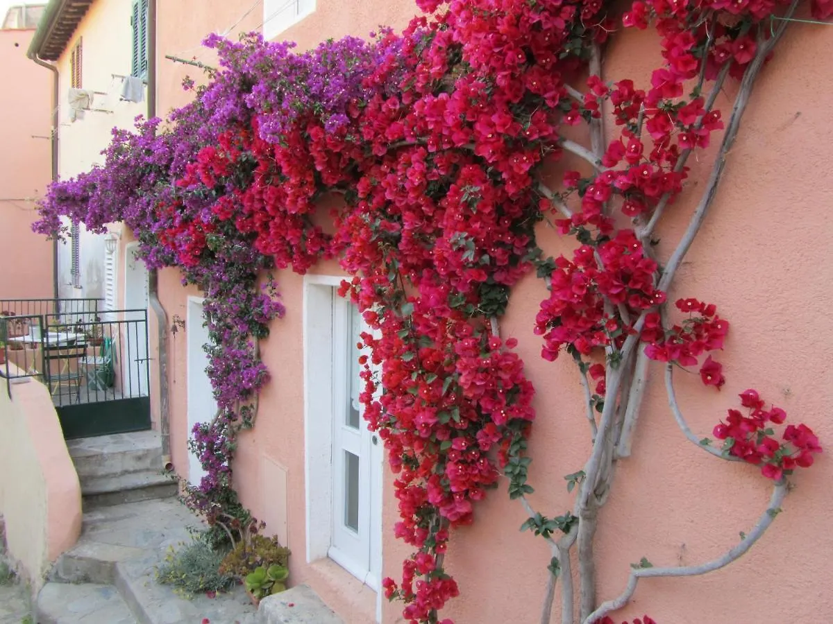 Holiday home Albariba Villa Porto Azzurro